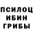 Псилоцибиновые грибы GOLDEN TEACHER ZIz 201